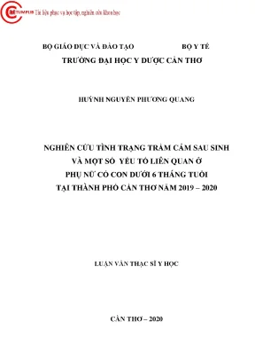 Nghiên Cứu Tình Trạng Trầm Cảm Sau Sinh Ở Phụ Nữ Có Con