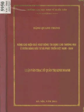 Nâng Cao Hiệu Quả Hoạt Động Tín Dụng Cho Thương Mại Tại