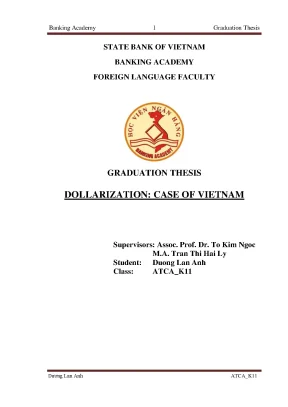 Tác Động Của Đô La Hóa Đến Kinh Tế Việt Nam: Giải Pháp 