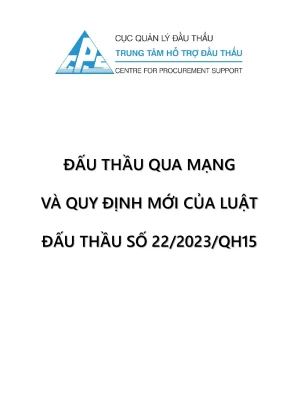 Quy Định Mới Về Đấu Thầu Qua Mạng Theo Luật Đấu Thầu