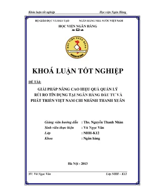 Giải Pháp Nâng Cao Hiệu Quả Quản Lý Rủi Ro Tín Dụng Tại