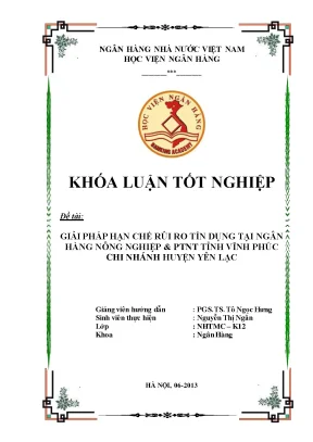 Giải Pháp Hạn Chế Rủi Ro Tín Dụng Tại Ngân Hàng Nông