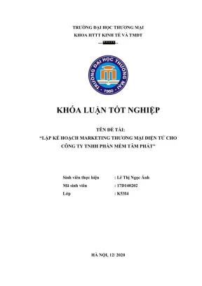Kế Hoạch Marketing Thương Mại Điện Tử Cho Công Ty TNHH