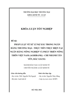 Pháp Luật Xử Lý Nợ Xấu Trong Ngân Hàng Thương Mại: Thực