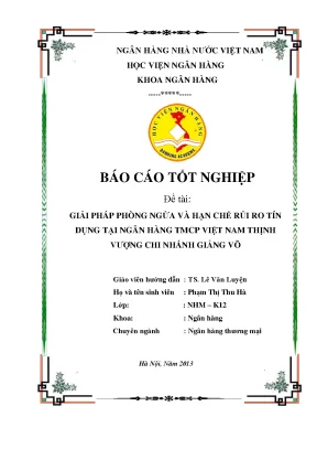 Giải Pháp Phòng Ngừa Rủi Ro Tín Dụng Tại Ngân Hàng TMCP 