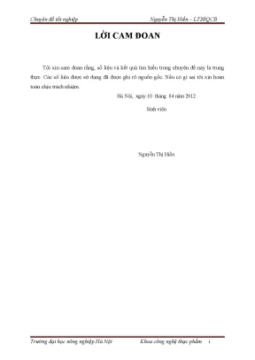Nghiên Cứu Công Nghệ Sản Xuất Bia Tại Công Ty Bia An Thịnh