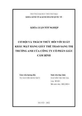 Cơ Hội và Thách Thức Xuất Khẩu Giày Thể Thao Sang Thị
