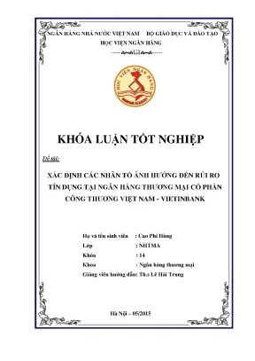 Những Nhân Tố Ảnh Hưởng Đến Rủi Ro Tín Dụng Tại Vietinbank