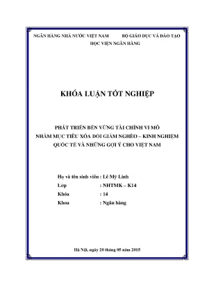 Phát Triển Bền Vững Tài Chính Vi Mô: Kinh Nghiệm Quốc Tế