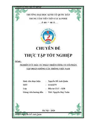 Đầu tư phát triển tại Vinaseed: Phân tích & Giải pháp