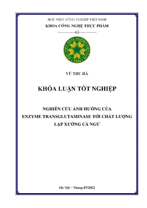 Ảnh hưởng của enzyme transglutaminase đến chất lượng lạp