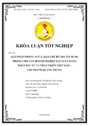 Giải Pháp Phòng Ngừa Rủi Ro Tín Dụng Trong Cho Vay Doanh 