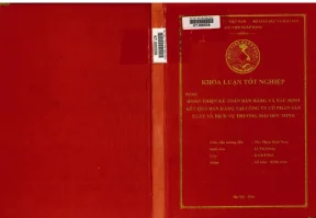 Hoàn thiện kế toán bán hàng và xác định kết quả bán hàng