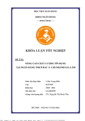 Nâng cao chất lượng tín dụng tại ngân hàng Bắc Á - Chi