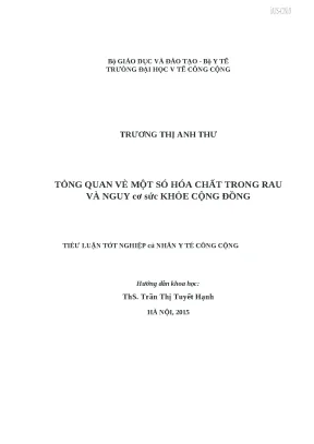 Tổng quan về hóa chất trong rau và nguy cơ sức khỏe cộng 
