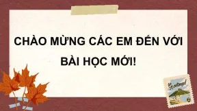 Khám Phá Các Dân Tộc Việt Nam: Đặc Điểm và Hoạt Động Kinh Tế