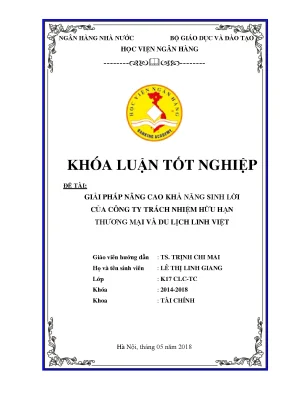 Giải Pháp Tăng Cường Khả Năng Sinh Lời Cho Công Ty Du