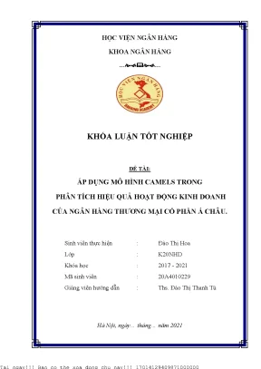 Phân Tích Hiệu Quả Kinh Doanh Ngân Hàng TMCP Á Châu Qua