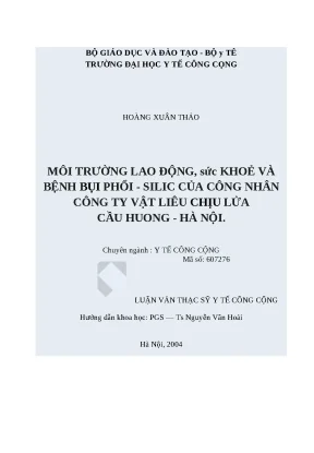Nghiên cứu về sức khỏe và bệnh bụi phổi silic của công