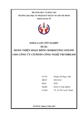 Tối ưu hóa marketing online cho Vietdream: Chiến lược