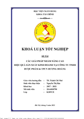 Giải pháp nâng cao hiệu quả kinh doanh cho Công ty TNHH