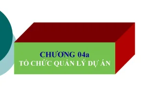 Tổ Chức Quản Lý Dự Án: Nguyên Tắc và Mô Hình Cấu Trúc