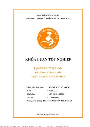 Lạm Phát Việt Nam 2011-2021: Thực Trạng và Giải Pháp 