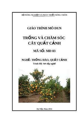 Hướng Dẫn Trồng và Chăm Sóc Cây Quất Cảnh Hiệu Quả