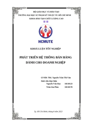 Phát Triển Hệ Thống Bán Hàng Hiện Đại Cho Doanh Nghiệp