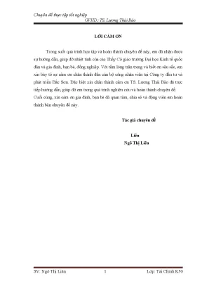 Phân Tích Tình Hình Tài Chính Công Ty Đầu Tư Bắc Sơn