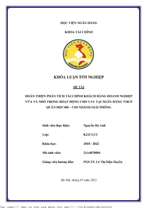 Phân Tích Tài Chính Doanh Nghiệp Vừa và Nhỏ Trong Hoạt
