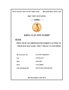 Phân Tích Tài Chính Doanh Nghiệp Tại Công Ty TMCP Ban