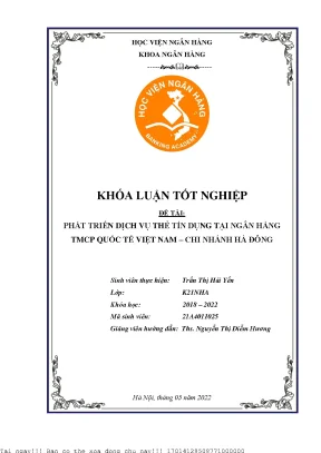 Phát Triển Dịch Vụ Thẻ Tín Dụng Tại Ngân Hàng VIB Chi