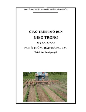 Hướng Dẫn Gieo Trồng Đậu Tương và Lạc Hiệu Quả