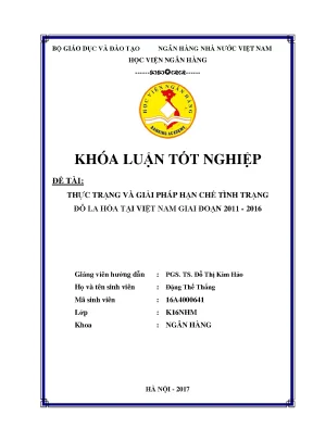 Giải Pháp Hạn Chế Đô La Hóa Tại Việt Nam Giai Đoạn 2011