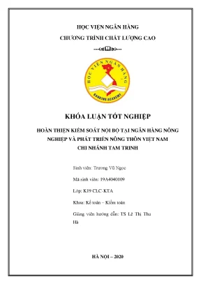 Hoàn thiện kiểm soát nội bộ tại Agribank chi nhánh Tam Trinh