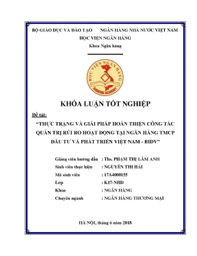 Giải Pháp Hoàn Thiện Quản Trị Rủi Ro Tại Ngân Hàng BIDV