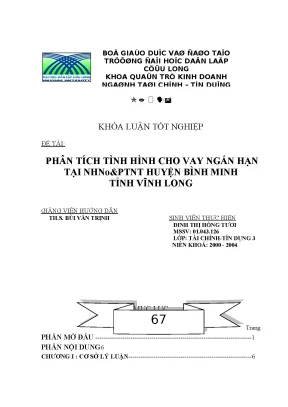 Phân Tích Tình Hình Cho Vay Ngắn Hạn Tại NHNo&PTNT Huyện 