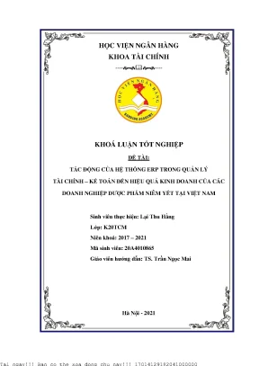Tác động của hệ thống ERP đến hiệu quả kinh doanh trong