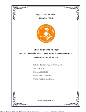 Nâng cao hiệu quả kinh doanh tại Công ty TNHH Vũ Thịnh
