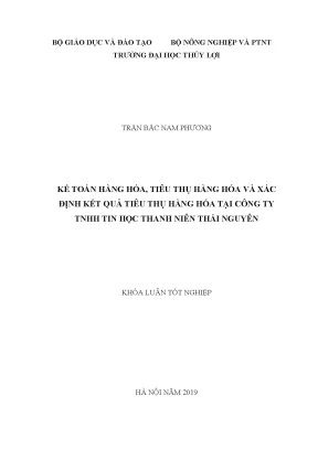 Kế Toán Hàng Hóa và Tiêu Thụ Tại Công Ty TNHH Tin Học