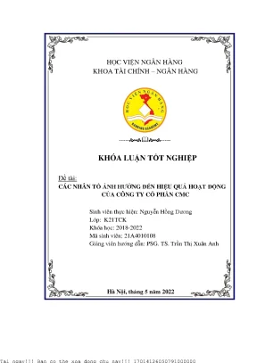 Nhân Tố Ảnh Hưởng Đến Hiệu Quả Hoạt Động Của Công Ty Cổ