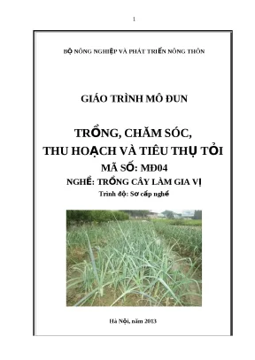 Hướng Dẫn Trồng, Chăm Sóc và Tiêu Thụ Tỏi Hiệu Quả