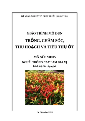 Hướng Dẫn Trồng, Chăm Sóc và Tiêu Thụ Ớt Hiệu Quả
