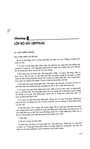 Giáo trình Động vật học có xương sống Phần 2 (Full PDF)