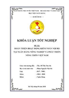 Hoàn Thiện Hoạt Động Kiểm Toán Nội Bộ Tại Agribank