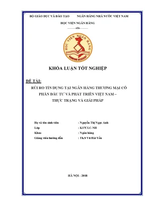 Giải Pháp Kiểm Soát Rủi Ro Tín Dụng Tại Ngân Hàng Thương