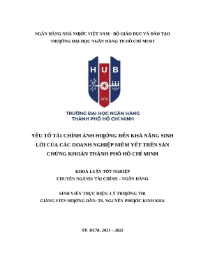Yếu Tố Tài Chính Ảnh Hưởng Đến Khả Năng Sinh Lời Của