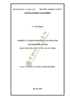 Nghiên cứu nhân giống cây lan trầm tím Dendrobium Nestor