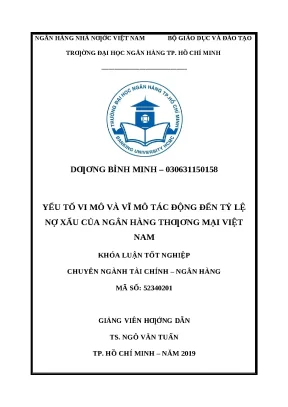Yếu Tố Vi Mô và Vĩ Mô Tác Động Đến Tỷ Lệ Nợ Xấu Ngân